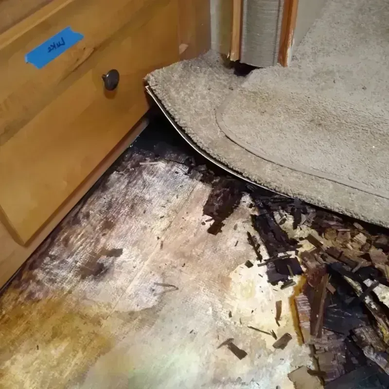 Wood Floor Water Damage in Morris, IL